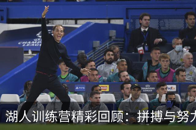 湖人训练营精彩回顾：拼搏与努力交织的强劲一周